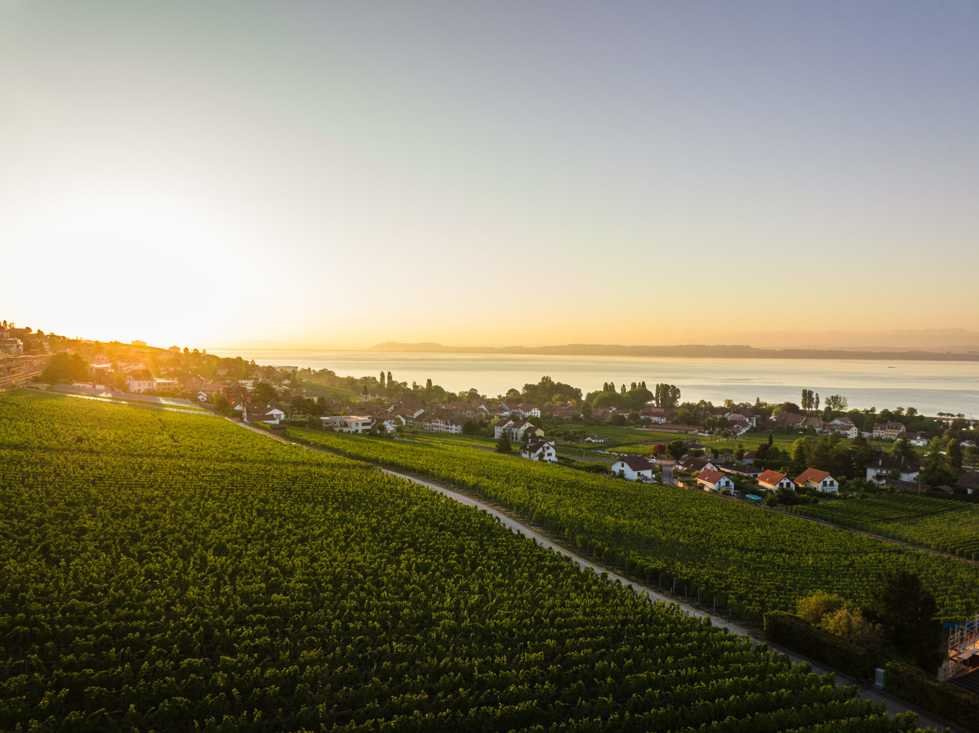Caves ouvertes printemps 2025